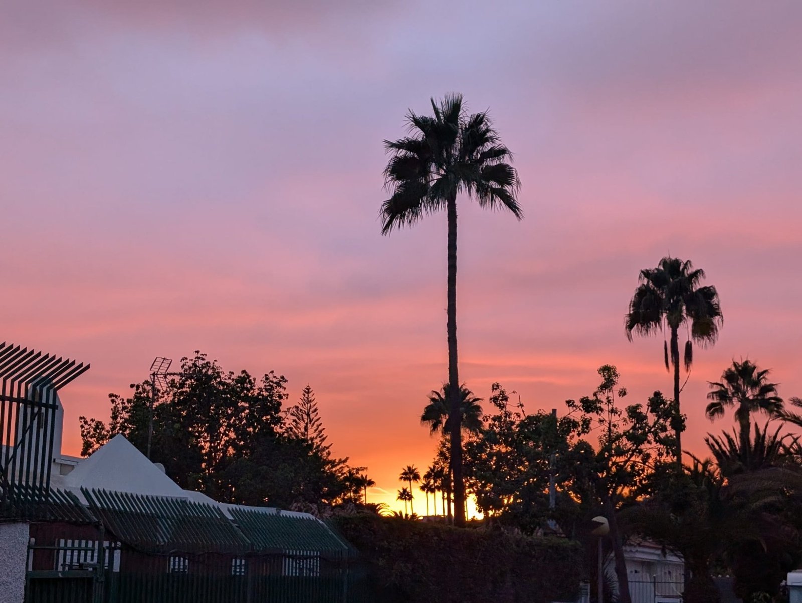 Atardecer en el complejo